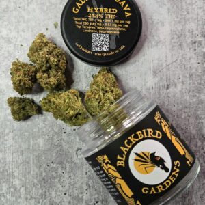 Galactic Guava Flower 3.5g