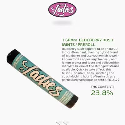 Blueberry Kush Mints Pre-Roll 1g